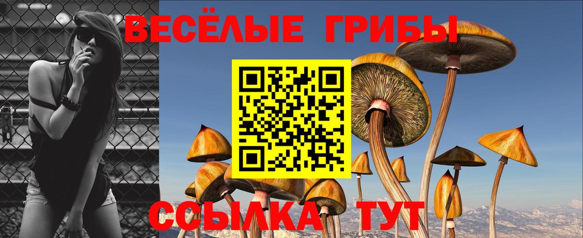 даркнет сайт  Псилоцибиновые грибы Psilocybine cubensis  Первоуральск  Вход с VPN  Галлюциногенные грибы Psilocybine cubensis 